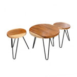 minimalist round suar wood coffee table set with hairpin legs natural finish including one table and two stools on white background