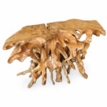 Arunika natural teak root console table on white background