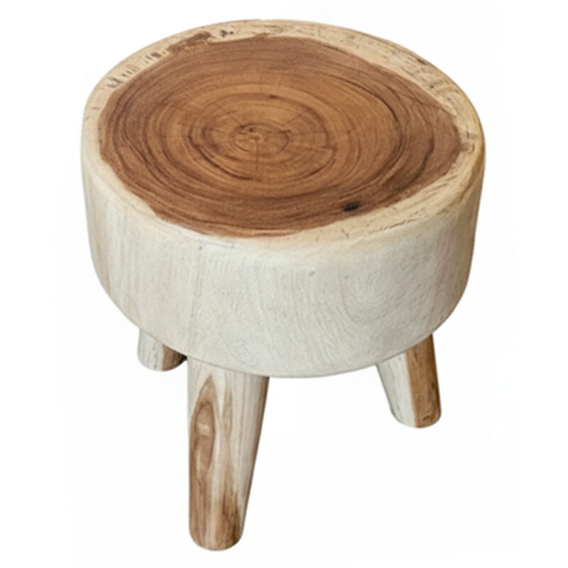 Log Slice Suar Wood Stool showcasing its natural growth-ring patterns and log-inspired design